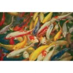 Koi Printed Canvas Painting