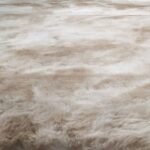 Famalica Area Rug - Image 3